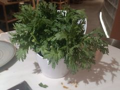-喃喃椰·糟粕醋·椰子鸡火锅(七堡花园店)