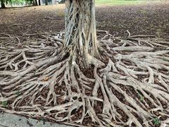 -中国客家博物馆