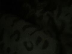 -肯德基(塔南店)