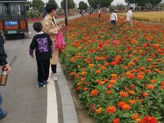 -丫丫蟹庄·苏式园林农家乐·阳澄湖大闸蟹(阳澄湖莲花岛店)