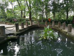 -成都市活水公园