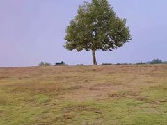 -钟山体育运动公园