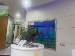 -雅悦齿科(顾村公园店)