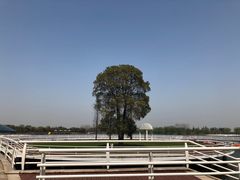 -湖州太湖旅游度假区-月亮广场