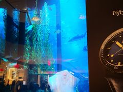 -迪拜水族馆及水下动物园