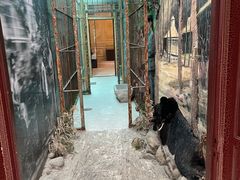 -北京动物园-畅观楼