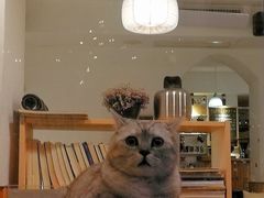 -隅cafe(傅厚岗店)