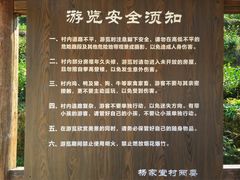 -杨家堂村