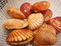 -四海蒸鲜蒸汽海鲜自助(北戴河店)