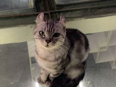 -极木²邸 人与宠物·互动社区