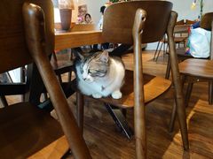 -echoes coffee回响咖啡(888街店)