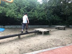 -静之湖湖畔餐厅