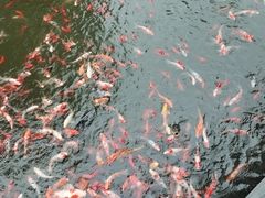 -太白山御龙湾温泉