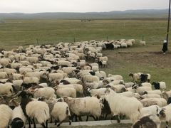 -青海湖国家重点风景名胜区