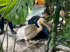-海合安武汉极地海洋公园