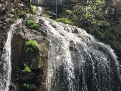 -藏龙百瀑风景区