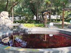 -稻香湖景欢乐岛温泉城堡