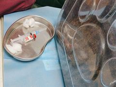 -纳吉亚猫专科动物诊疗中心(蒋宅口分院)