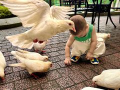 -茵特拉根酒店·西餐厅