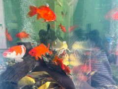 -中国海诚工程科技股份有限公司(宝庆路)