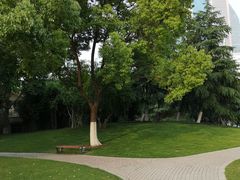 -西北湖绿化广场