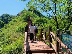 -大岭沟猕猴桃谷风景区