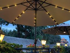 -Sirena海妖日咖夜酒