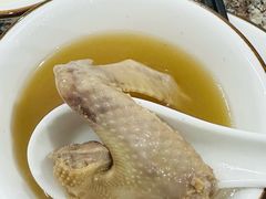 鸽子火锅-皇鸽餐厅(龙塘店)