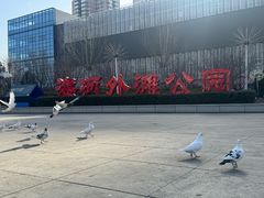 -海河外滩公园