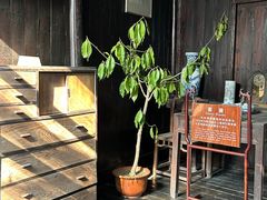 -朱自清故居