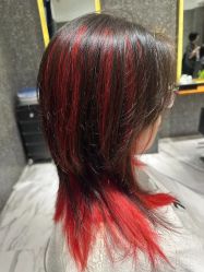 -付军剪艺JF ProSalon