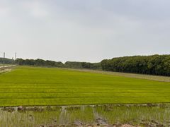 -嘉北郊野公园