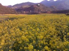 -千岛湖龙川湾
