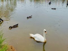 -鄱阳湖国家湿地公园