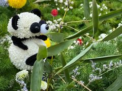 -石家庄市植物园