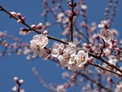 -太阳宫公园