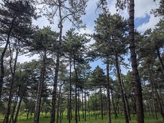 -承德避暑山庄景区