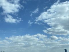 -上海新发展亚太JW万豪酒店