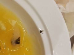 小米海参-芭菲盛宴·环球美食(袁家岗店)
