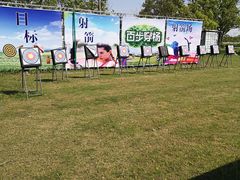 -上海长兴岛郊野公园