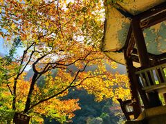 -花岩国家森林公园