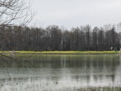 -东湖落雁景区