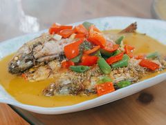 瑶河小鱼-瑶河山里菜