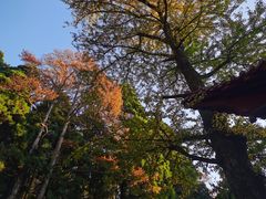 -庐山风景名胜区