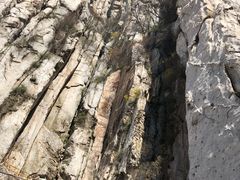 -嵩山少林文化旅游景区