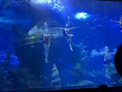 -多彩贵州城极地海洋世界