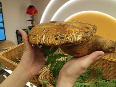 -鲜菌江湖正宗野生菌火锅