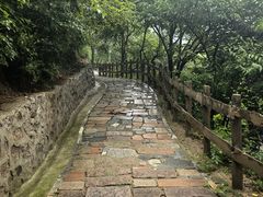 -大岭沟猕猴桃谷风景区