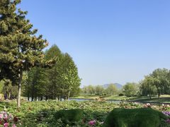 -羊亭河湿地公园