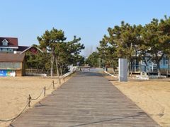 -老太太海鲜城(森林公园任家台店)